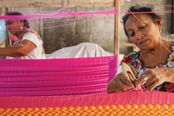 Bienestar te prestará hasta 20 mil pesos; conoce los requisitos de «Crédito Solidario»