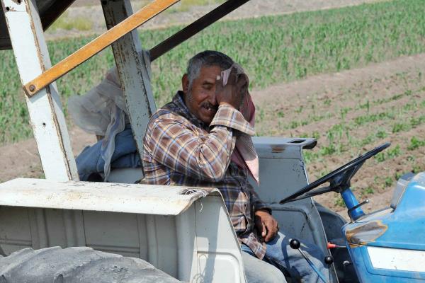 Golpe de calor: cómo identificar que estás en peligro