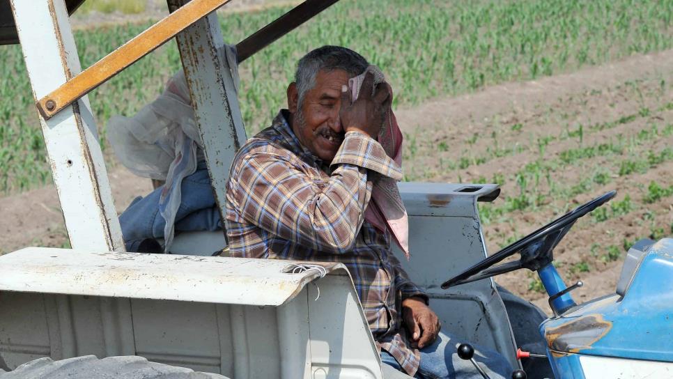 Golpe de calor: cómo identificar que estás en peligro