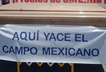 Productores de 21 estados realizarán su propia «Mañanera» en CDMX 