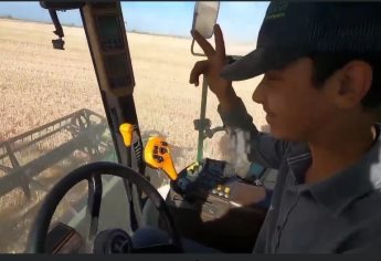 VIDEO | Jorge, el niño que conduce una trilladora en el sur de Sonora