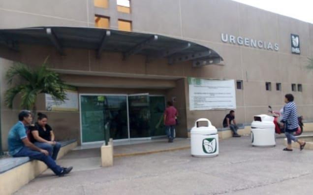 Un navolatense muere minutos después de ser picado por abejas