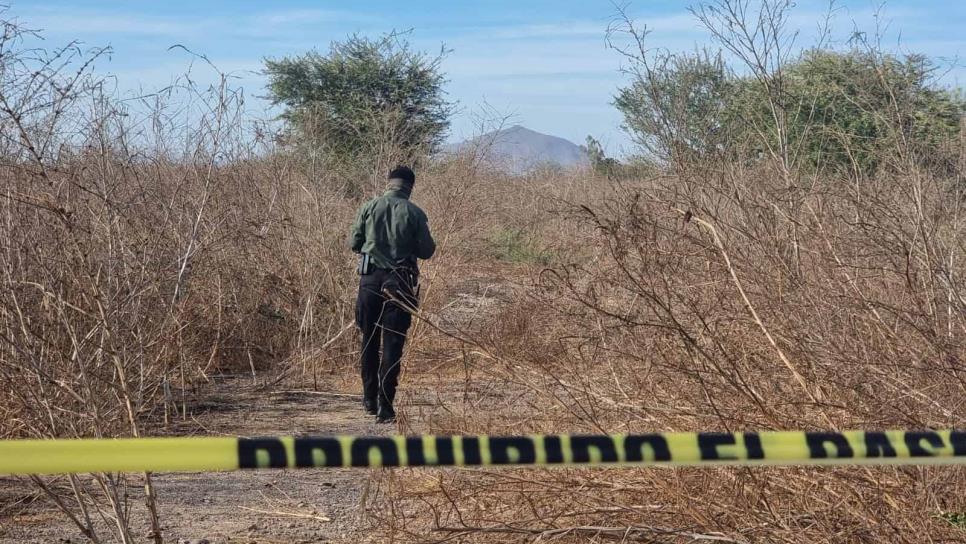 Hallan osamenta por la autopista Culiacán-Mazatlán