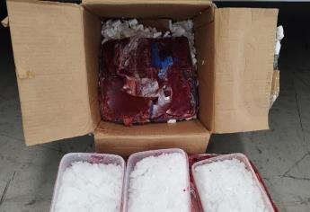Interceptan cajas con «cristal» en paquetería de Culiacán gracias a caninos de la Guardia Nacional
