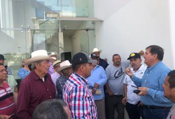 Trigueros de Sinaloa no han recibido ningún apoyo 