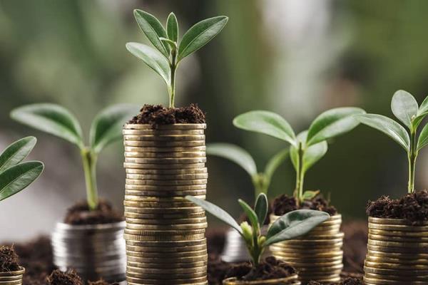 Cuatro formas efectivas de hacer crecer tu dinero y lograr estabilidad financiera