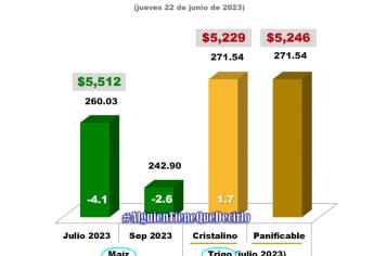 México sigue importando maíz