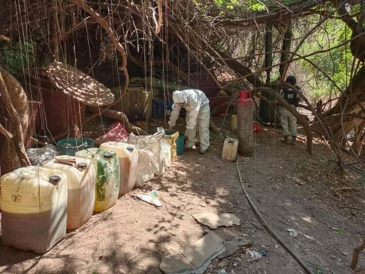 La Guardia Nacional localiza y desmantela un laboratorio clandestino en el poblado Los Mayos, de Culiacán