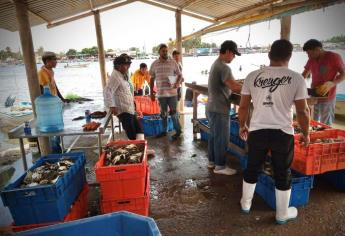 Se reactiva la pesca en zona norte de Sinaloa 