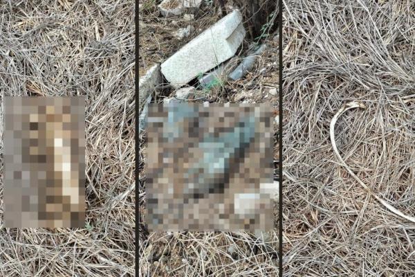 Hallan osamenta a unos metros del Aeropuerto de Culiacán