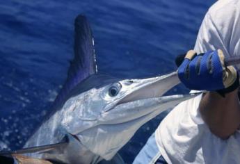 Con el pico de un pez vela asesinó a un marisquero en Mazatlán; pasará 22 años en la cárcel 