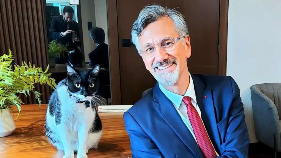Embajador de Francia se enamora de la gatita Cruella en su visita al Ayuntamiento de Culiacán 