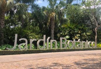 Jardín Botánico invita al primer Festival del Helado Culiacán 2023