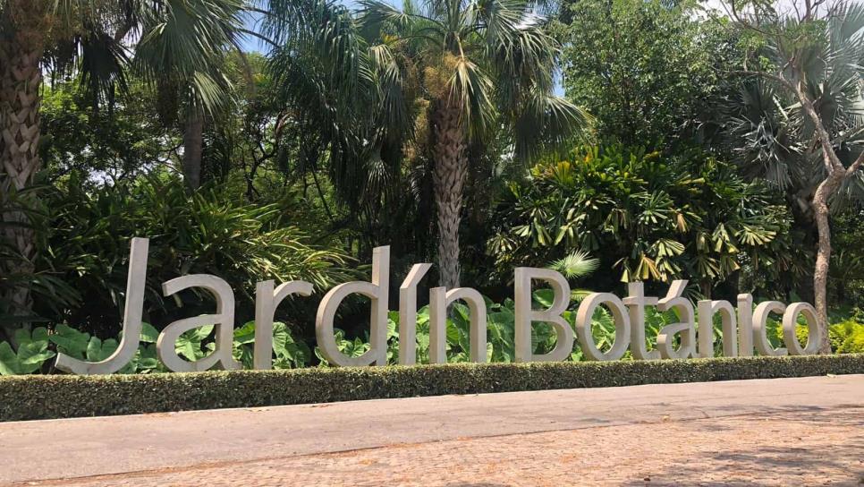 Jardín Botánico invita al primer Festival del Helado Culiacán 2023