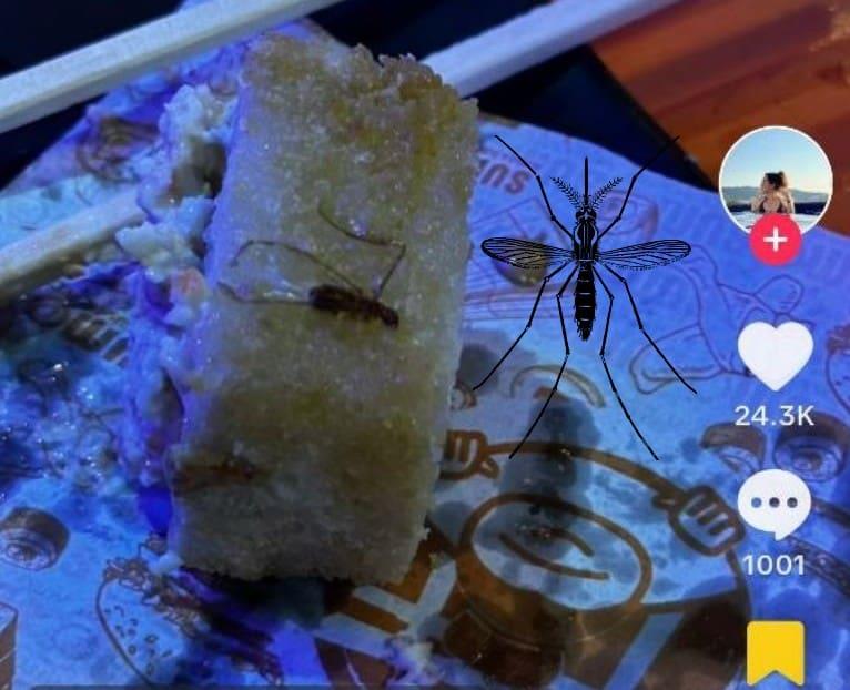 Exhiben platillo lleno de insecto en un buffet y piden ayuda de la Profeco