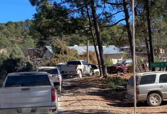 Muere niño de 9 años en la sierra tras caerle un tronco en la cabeza mientras jugaba