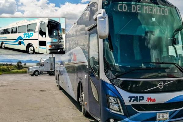 Autobuses TAP: camiones cómodos y lentos que se afianzaron por años en la ruta del Pacífico