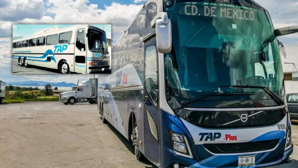 Autobuses TAP: camiones cómodos y lentos que se afianzaron por años en la ruta del Pacífico