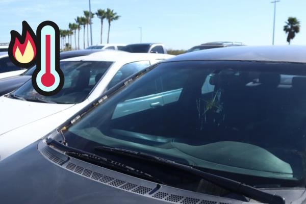 Cosas que no debes dejar dentro del carro con este calor; te vas a sorprender
