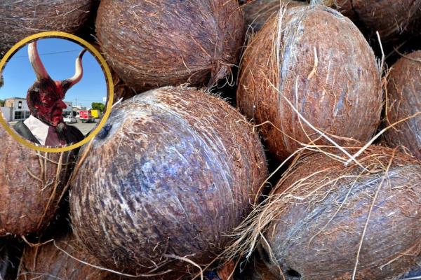 Ritual del coco: así combatían las malas energías en florería de Los Mochis