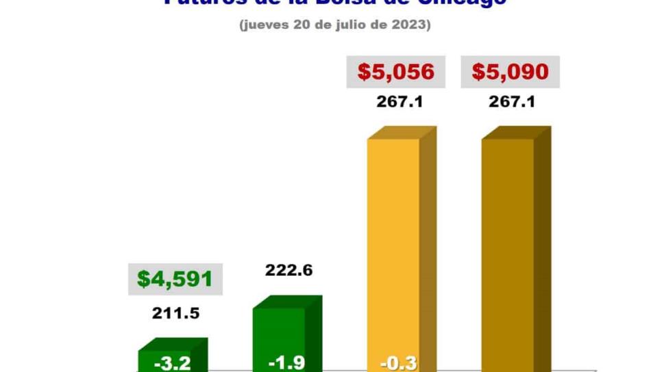 ¡Baja! Precio de referencia por tonelada de maíz se ubica en 4 mil 591 pesos