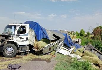 Vuelca tractocamión cargado con pacas sobre la México 15, en Guayparime