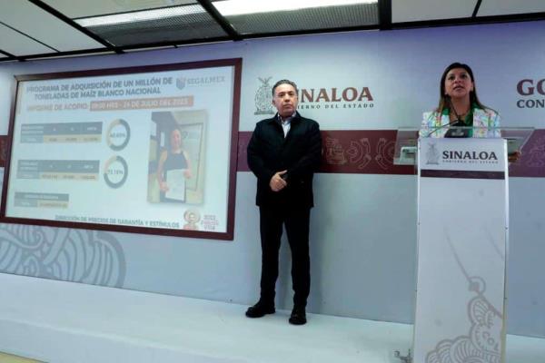 Industriales compran un millón y medio de toneladas de maíz a productores sinaloenses: Secretaría de Agricultura