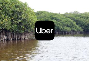 Uber apoya reforestación de manglares en Baja California Sur