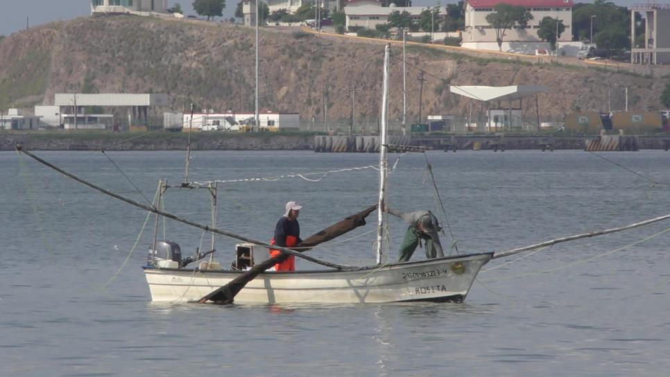 Piden se levante antes la veda del camarón en Sinaloa