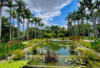 Conoce el Jardín Botánico de Culiacán