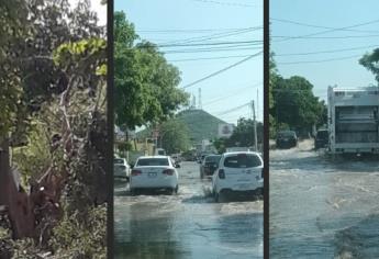 Tras lluvias y vientos, permanecen sin luz comunidades y colonias en Ahome