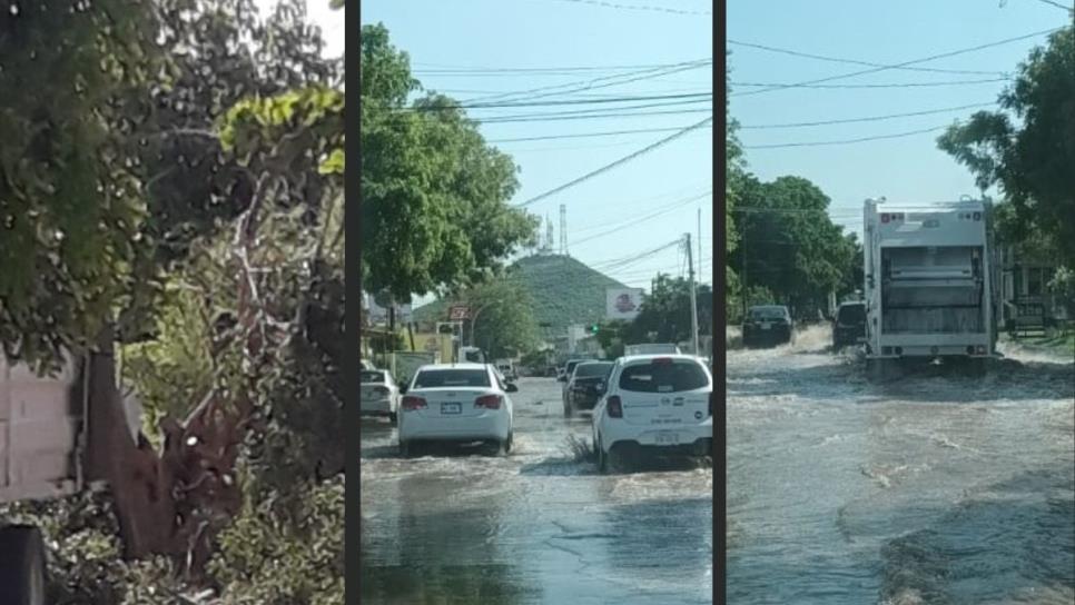 Tras lluvias y vientos, permanecen sin luz comunidades y colonias en Ahome