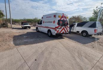 Un «comando» de abejas lesionan a tres personas en Pueblos Unidos, Culiacán