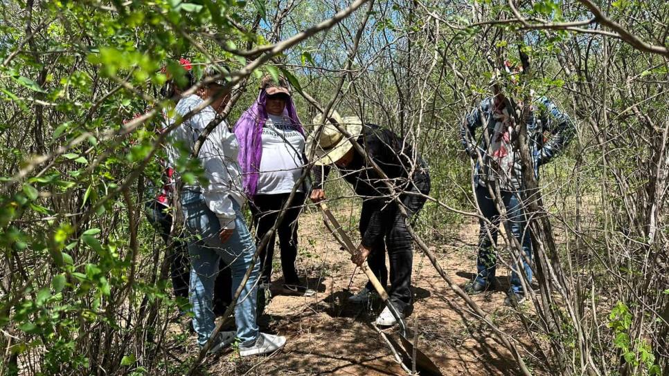 Rastreadoras de El Fuerte localizan cráneo en Tres Garantías 