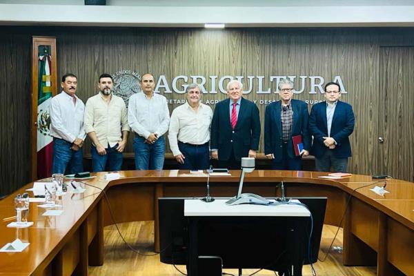 Caades pide a Sader compensar precio del maíz 