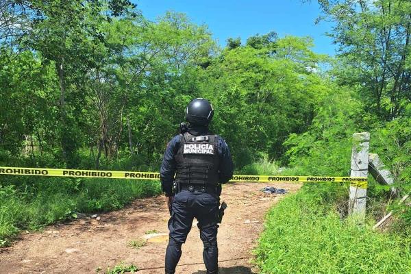 Localizan dos cuerpos embolsados en el Espinal de la Cruz de Elota