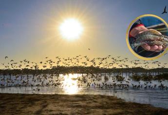 Costa Azul: un paraíso escondido en las costas de Sinaloa