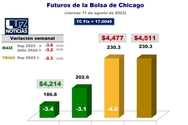 Oferta mundial de maíz se redujo en 11 millones de toneladas