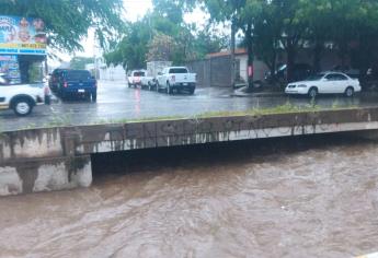 Árboles caídos y un vehículo varado, saldo de las fuertes lluvias en Culiacán