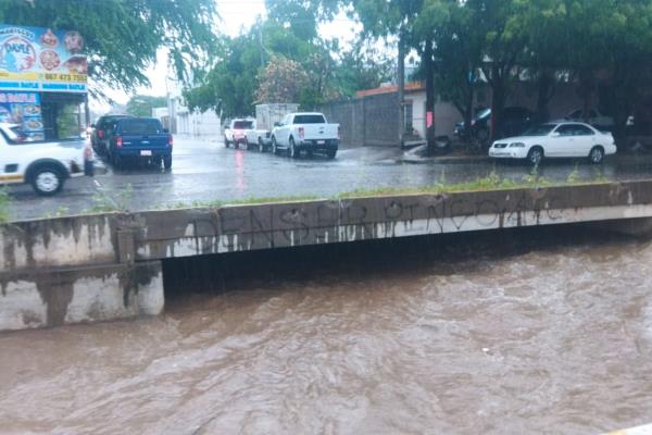 Árboles caídos y un vehículo varado, saldo de las fuertes lluvias en Culiacán