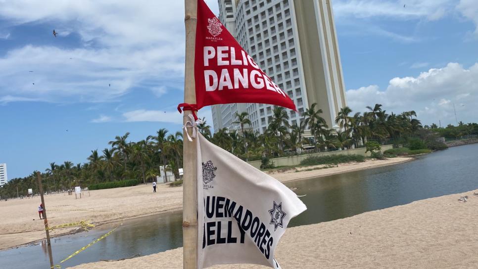 Por muerte de bañista, endurecerán sanciones a personas en área de playa en Mazatlán