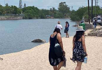 Prevén que cocodrilos encontrados en zona hotelera en Mazatlán lleguen al mar esta tarde