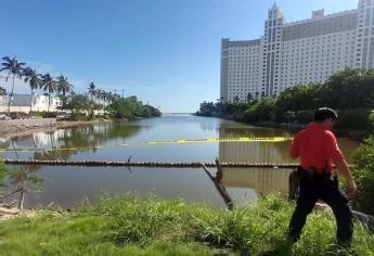 Aparecen dos cocodrilos cerca de zona hotelera en Mazatlán