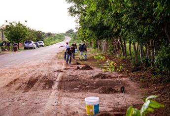 Arranca campaña de reforestación en la zona rural de Mazatlán