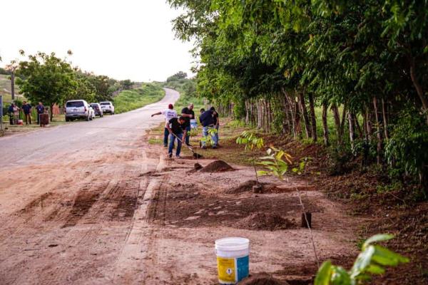 Arranca campaña de reforestación en la zona rural de Mazatlán