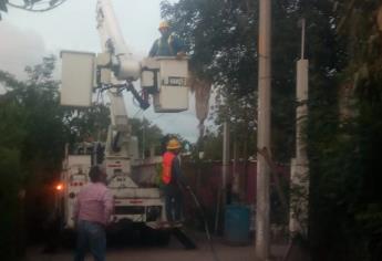 Por «Hilary» se caen postes de electricidad en Dautillos, Navolato
