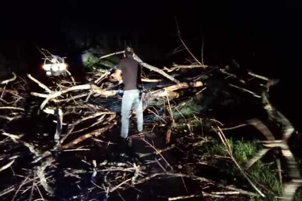 Afectaciones menores en San Ignacio por remanentes del Huracán «Hilary»