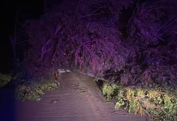 «Hilary» provoca lluvia en Ahome 