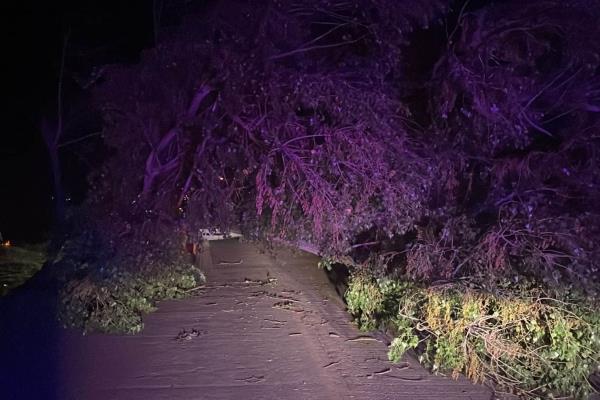 «Hilary» provoca lluvia en Ahome 