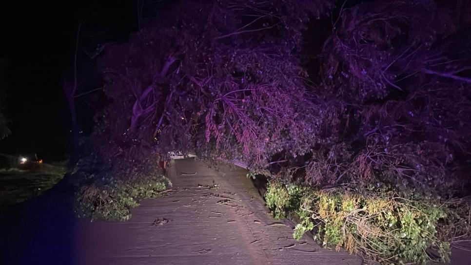 «Hilary» provoca lluvia en Ahome 